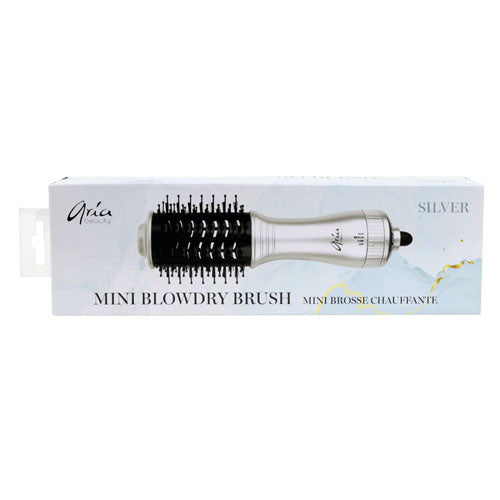 Mini Blowdry Brush Silver