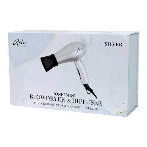 Mini Blow Dryer - Silver