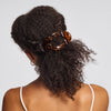 Tortoise Flat Cloud Clip