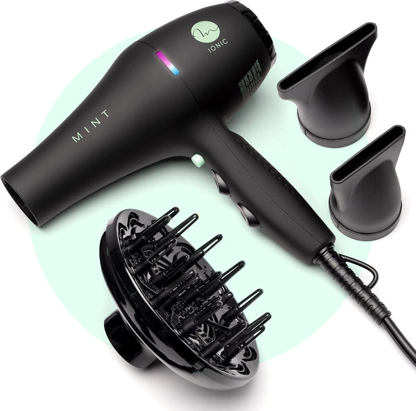 Mint Black Bird Ionic Dryer