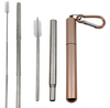 Luxe Hydration Telescopic Metal Straw